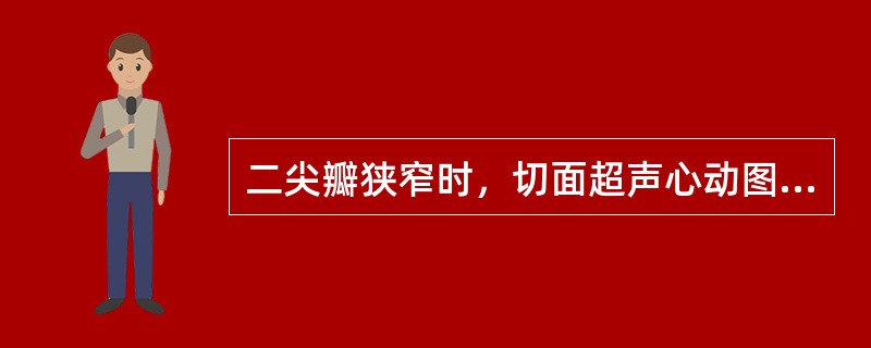 二尖瓣狭窄时，切面超声心动图可见