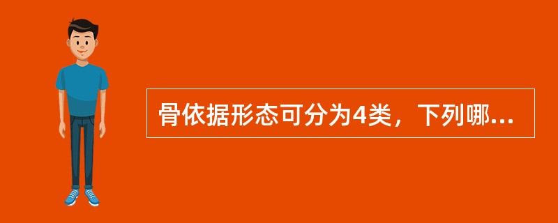 骨依据形态可分为4类，下列哪项不是