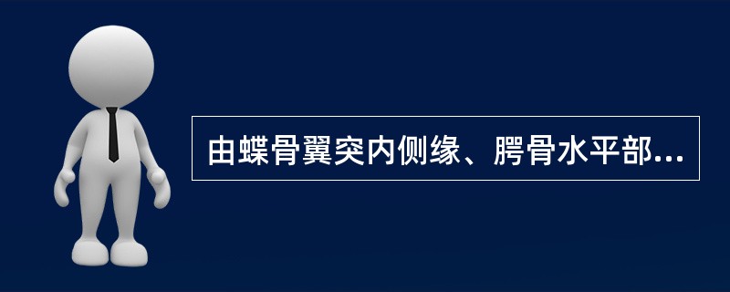 由蝶骨翼突内侧缘、腭骨水平部后缘、犁骨后缘和以下哪项围成后鼻孔