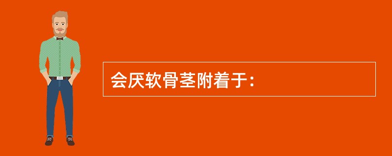 会厌软骨茎附着于：