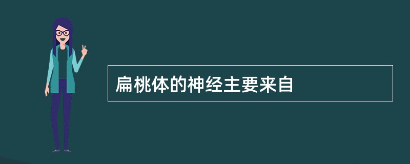 扁桃体的神经主要来自