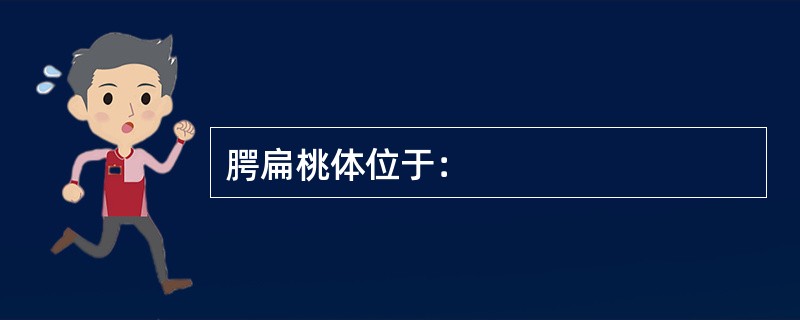 腭扁桃体位于：