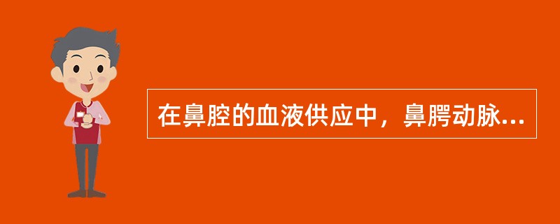 在鼻腔的血液供应中，鼻腭动脉直接分支于：