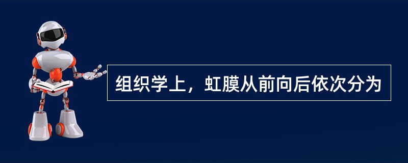 组织学上，虹膜从前向后依次分为