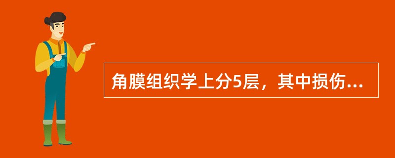 角膜组织学上分5层，其中损伤后可再生的组织有