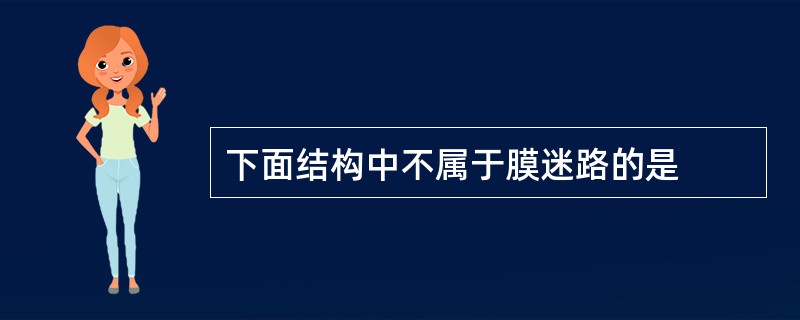下面结构中不属于膜迷路的是
