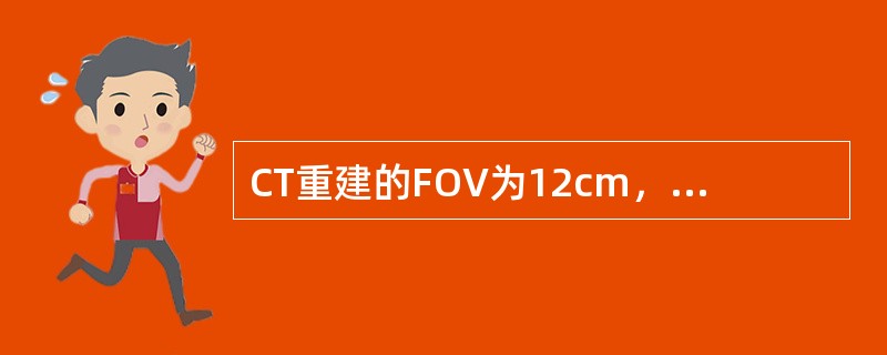 CT重建的FOV为12cm，矩阵大小为512×512，则重建后图像的最大空间分辨率可为