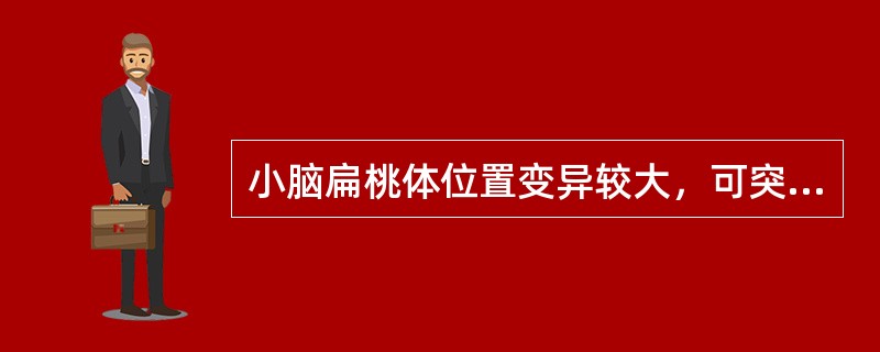 小脑扁桃体位置变异较大，可突人枕骨大孔，但不超过以下