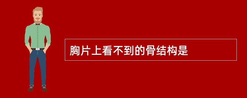 胸片上看不到的骨结构是