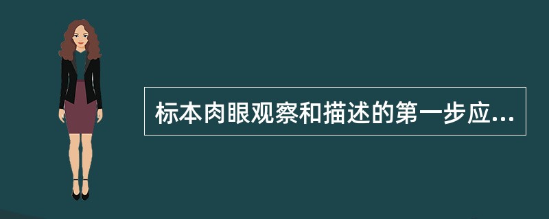 标本肉眼观察和描述的第一步应该是
