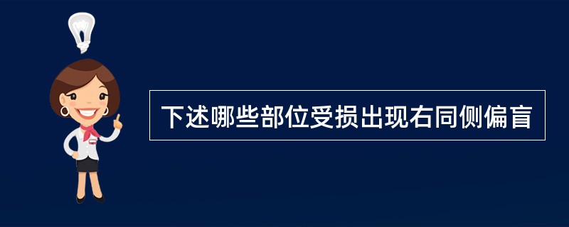 下述哪些部位受损出现右同侧偏盲