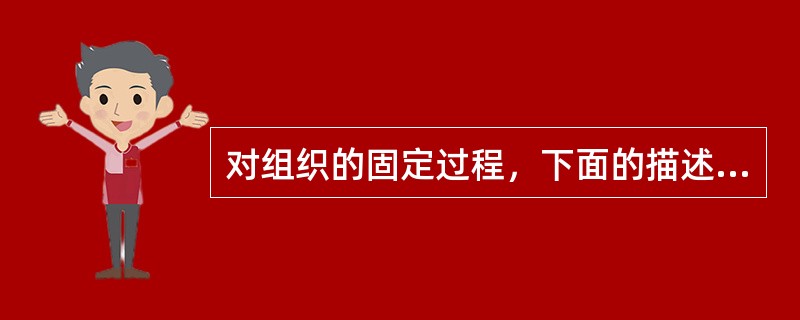 对组织的固定过程，下面的描述不正确的是