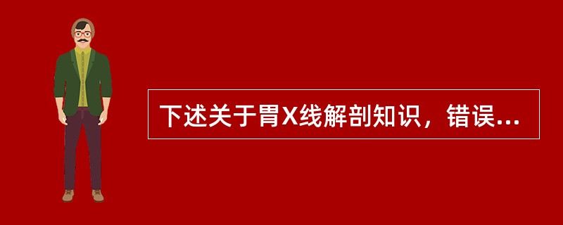 下述关于胃X线解剖知识，错误的是