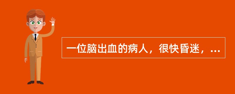 一位脑出血的病人，很快昏迷，双侧瞳孔极度缩小，四肢瘫痪，高热，呼吸障碍，出血部位应考虑；