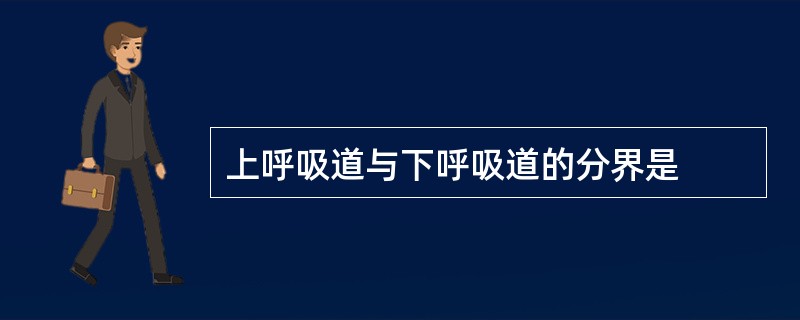 上呼吸道与下呼吸道的分界是