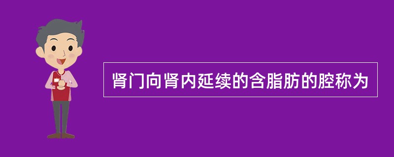 肾门向肾内延续的含脂肪的腔称为