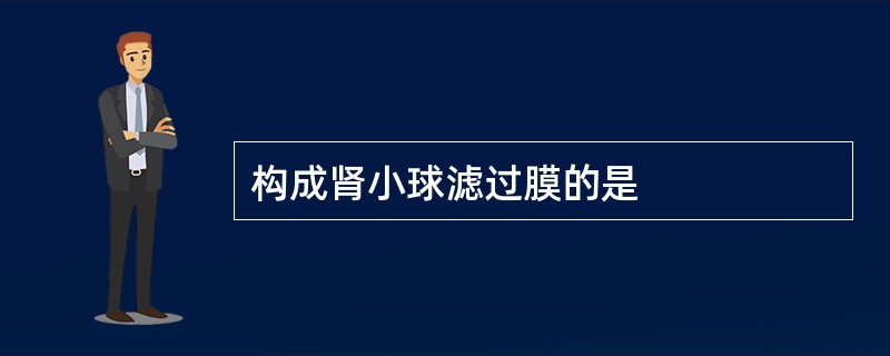 构成肾小球滤过膜的是