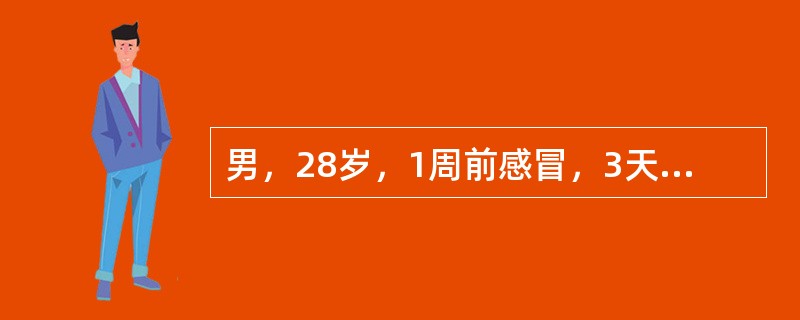 男，28岁，1周前感冒，3天来浮肿、尿少（300～400ml／24h）；血压150／100mmHg；血红蛋白80g，／L，血沉90mm／第1小时末，尿蛋白（+++），尿沉渣红细胞20～40个／HP，血