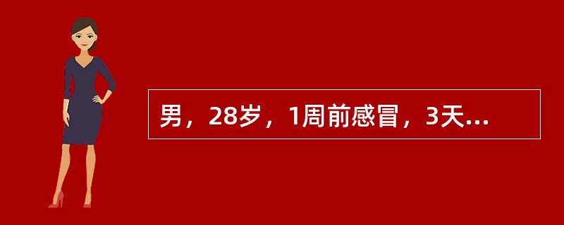 男，28岁，1周前感冒，3天来浮肿、尿少（300～400ml／24h）；血压150／100mmHg；血红蛋白80g，／L，血沉90mm／第1小时末，尿蛋白（+++），尿沉渣红细胞20～40个／HP，血