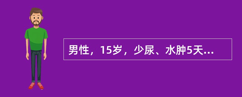 男性，15岁，少尿、水肿5天，咳嗽气短不能平卧1天，起病前2周喉痛3天，血压170／110mmHg，端坐呼吸，两肺底有散在湿啰音，尿比重022，尿蛋白（+++），红细胞30～90个／HP，血清补体C3