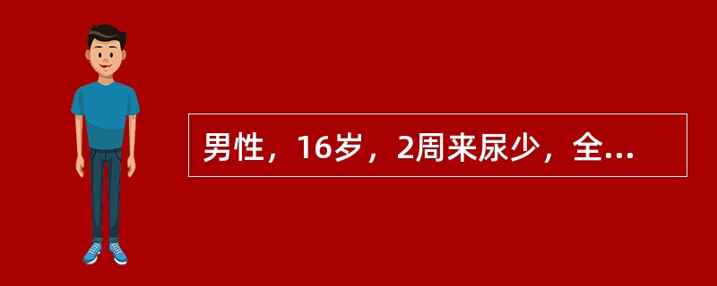 男性，16岁，2周来尿少，全身浮肿明显，尿蛋白定量Sg／d，血浆白蛋白18g／L，尿沉渣镜检有红细胞3～5／HP，有透明管型，偶见颗粒管型，血红蛋白正常，血肌酐正常，血尿素氮10mnol／L。提问：大