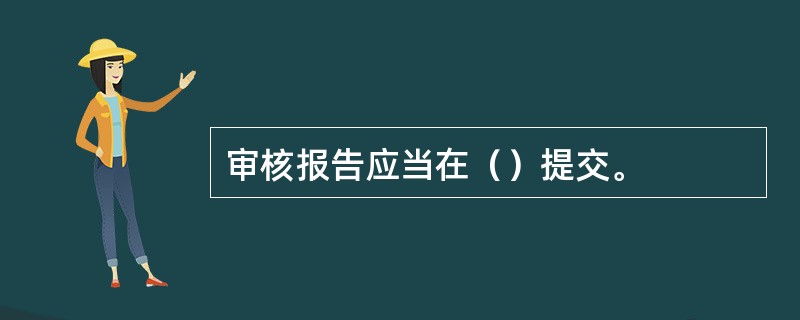 审核报告应当在（）提交。