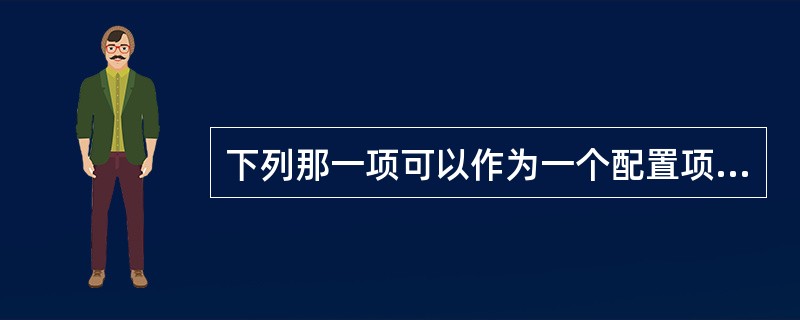 下列那一项可以作为一个配置项（）