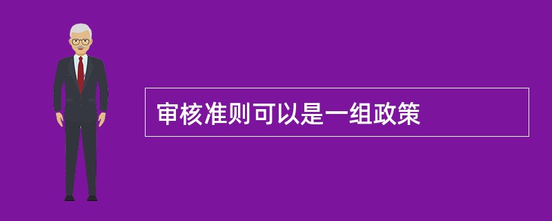 审核准则可以是一组政策