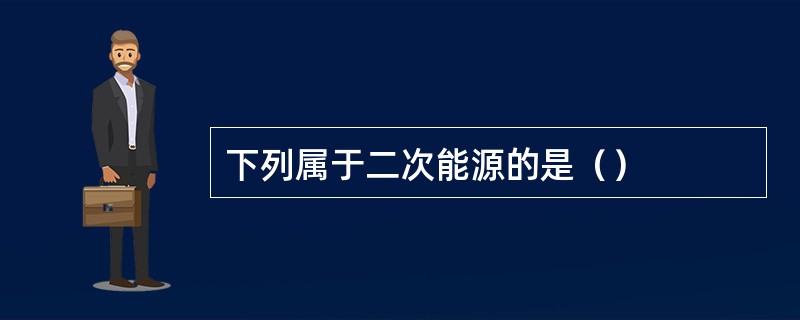 下列属于二次能源的是（）