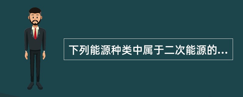 下列能源种类中属于二次能源的是:()