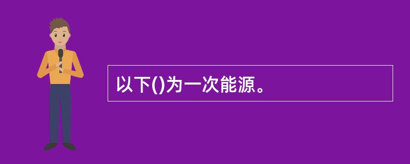 以下()为一次能源。