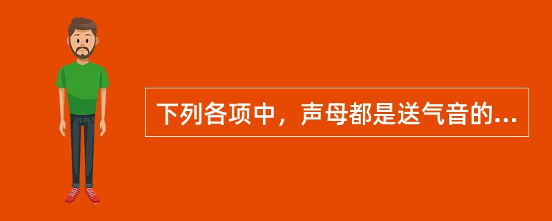 下列各项中，声母都是送气音的有（）。