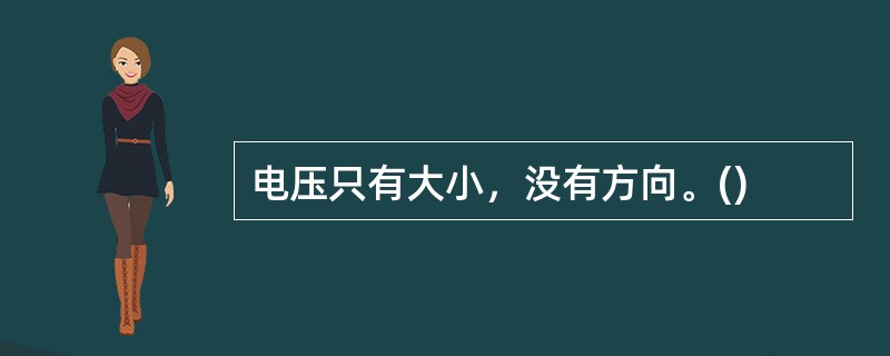 电压只有大小，没有方向。()