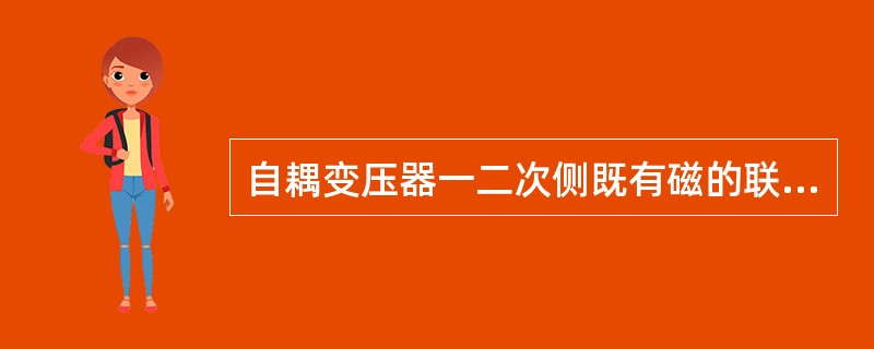 自耦变压器一二次侧既有磁的联系，又有电的联系。（）