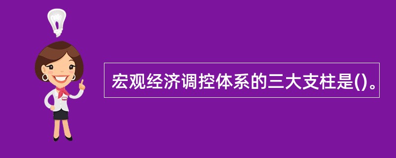 宏观经济调控体系的三大支柱是()。