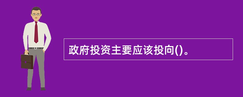 政府投资主要应该投向()。