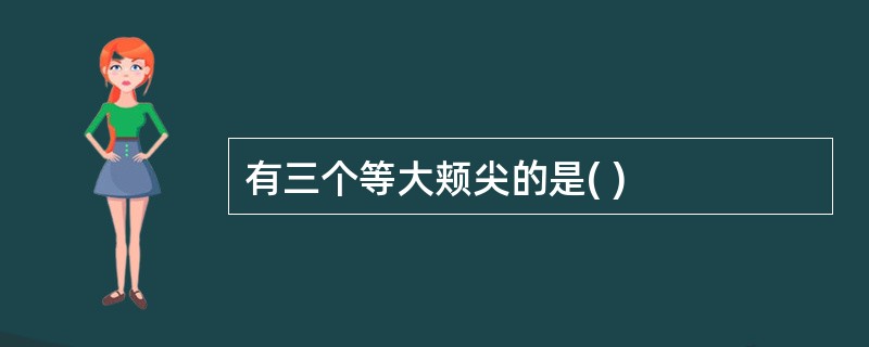 有三个等大颊尖的是( )
