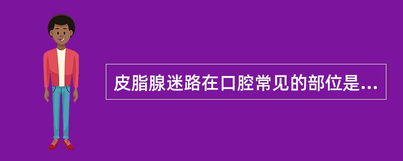 皮脂腺迷路在口腔常见的部位是( )。