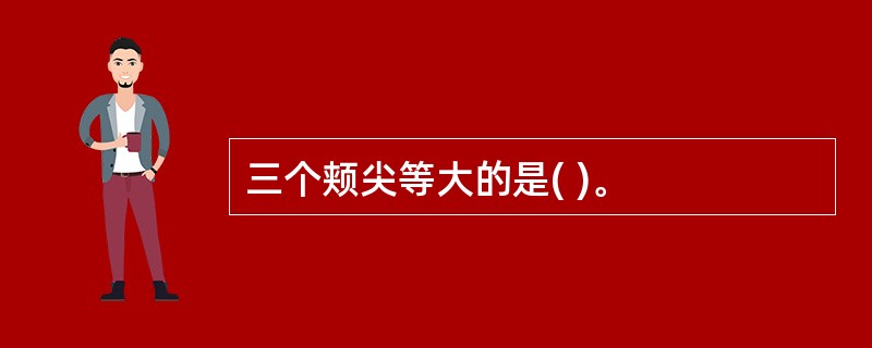 三个颊尖等大的是( )。