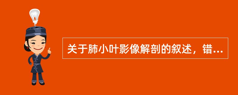 关于肺小叶影像解剖的叙述，错误的是（）