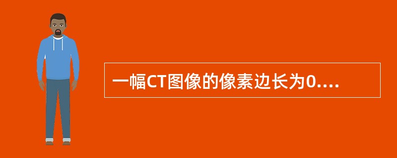 一幅CT图像的像素边长为0.5mm，矩阵尺寸为512×512，FOV大小约是（）
