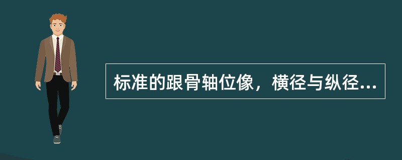 标准的跟骨轴位像，横径与纵径投影比例约为（）
