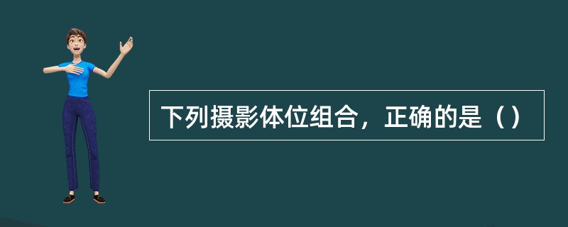 下列摄影体位组合，正确的是（）