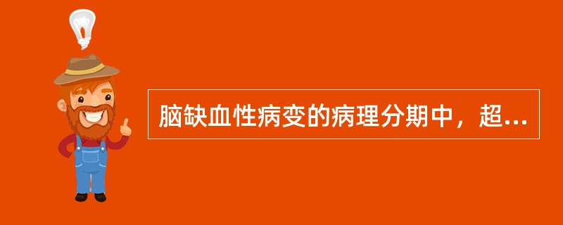 脑缺血性病变的病理分期中，超早期在