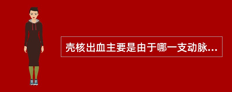 壳核出血主要是由于哪一支动脉破裂引起