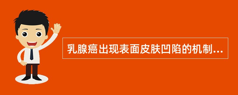 乳腺癌出现表面皮肤凹陷的机制是()