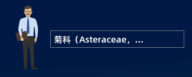 菊科（Asteraceae，Compositae）的模式属是（）。