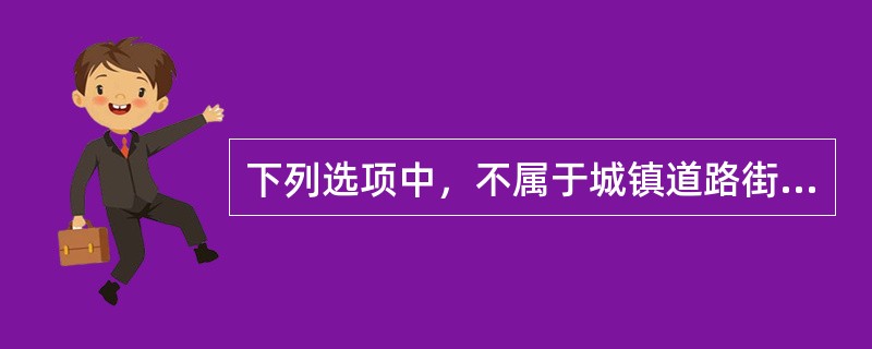 下列选项中，不属于城镇道路街面设施的是( )。