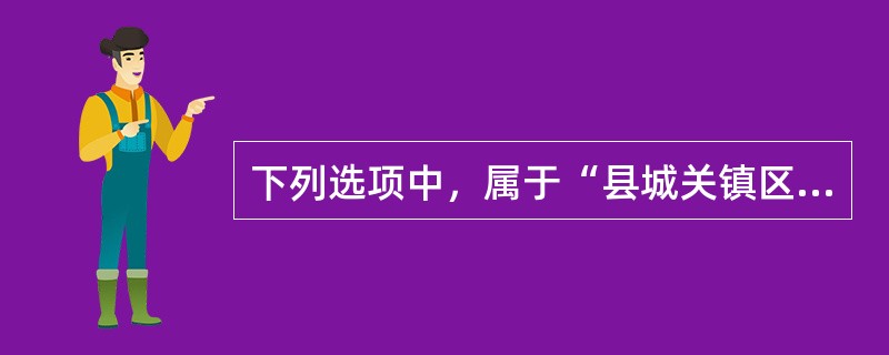 下列选项中，属于“县城关镇区”总体规划主要内容的是（）。