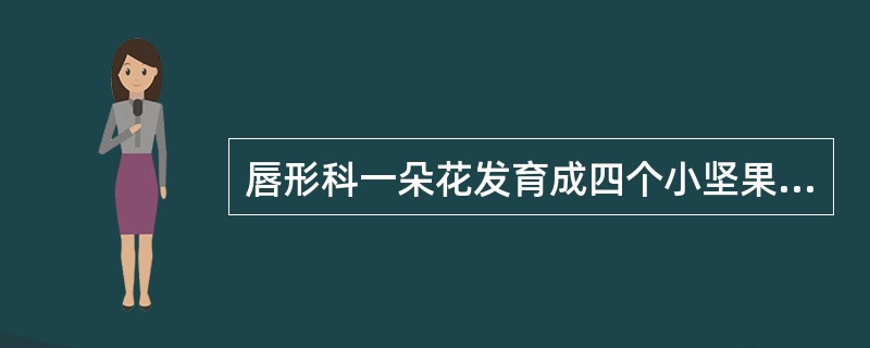 唇形科一朵花发育成四个小坚果，它们组成聚合小坚果。（）